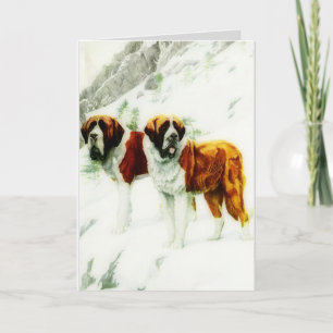 rough and smooth St Bernard - painting Card