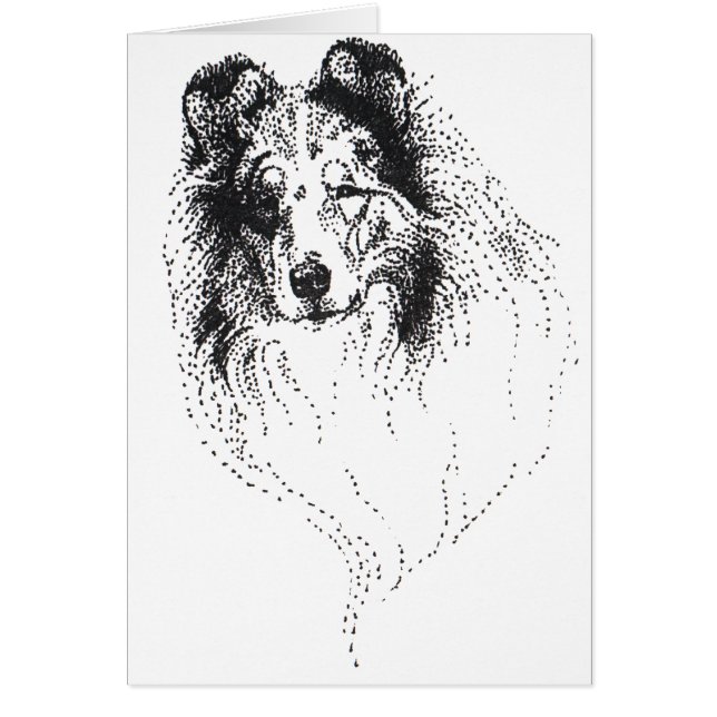 Rough Blue Merle Collie (Front)