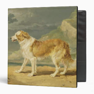 Rough-coated Collie, 1809 (oil on board) Binder