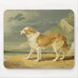 Rough-coated Collie, 1809 (oil on board) Mouse Pad