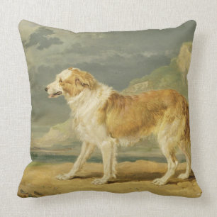 Rough-coated Collie, 1809 (oil on board) Throw Pillow