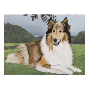 Rough Collie against the Yorkshire Dales Poster