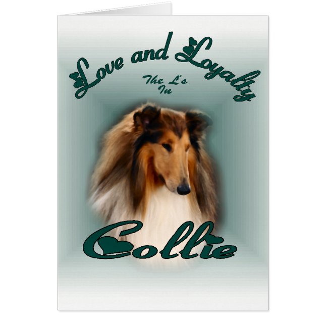 Rough Collie Art Don (Devant)