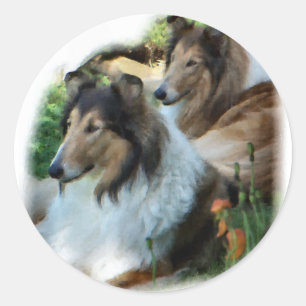 Rough Collie Art Gifts Classic Round Sticker