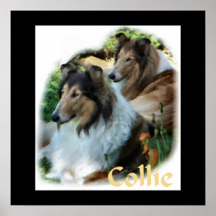 Rough Collie Art Gifts Poster