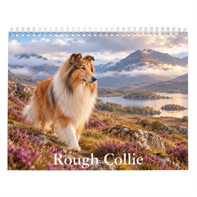 Rough Collie  Calendar (Cover)