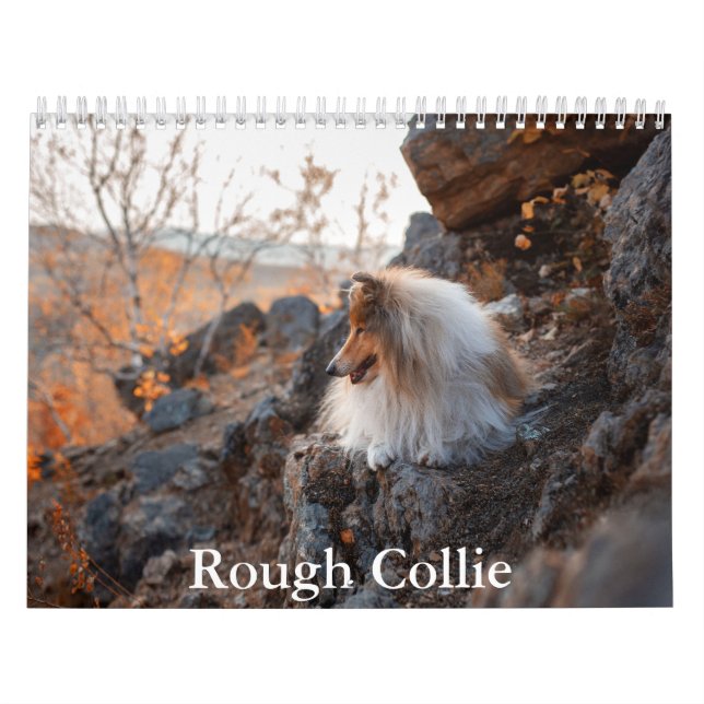 Rough Collie Calendar (Cover)