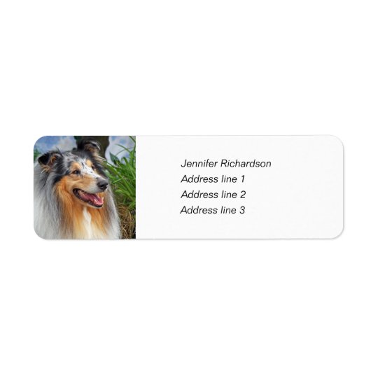 Rough collie dog custom return address labels