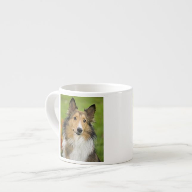 Rough Collie, dog Espresso Cup (Front Left)