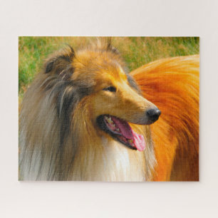 Rough Collie Dog Jigsaws. Jigsaw Puzzle