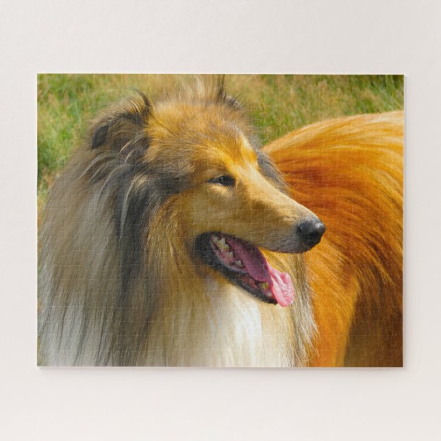 Rough Collie Dog Jigsaws. Jigsaw Puzzle (Horizontal)