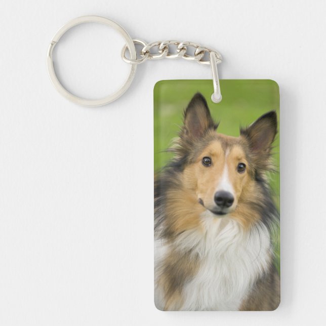 Rough Collie, dog Keychain (Front)