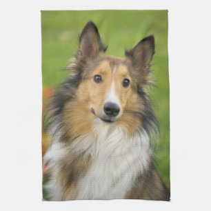 Rough Collie, dog Kitchen Towel