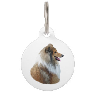 Rough Collie dog portrait photo Pet Tag