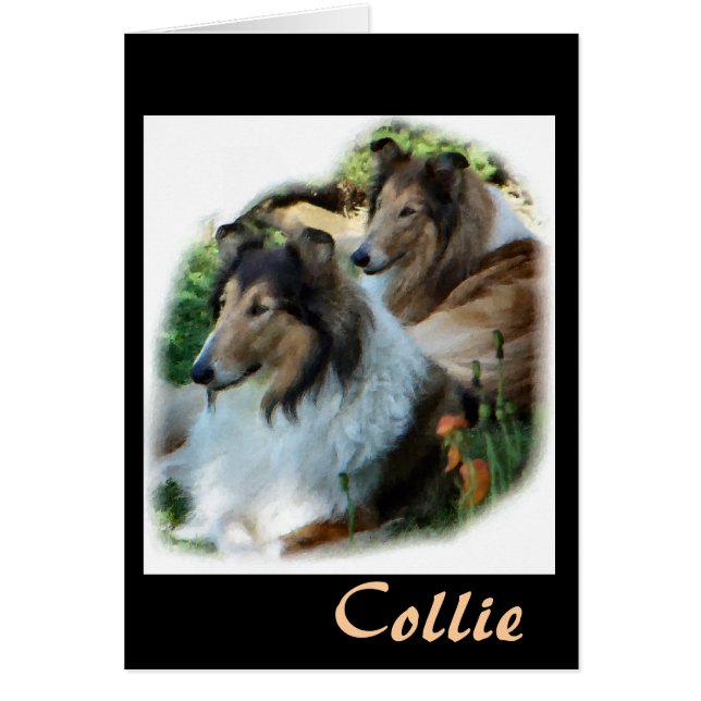 Rough Collie Don d'art (Devant)