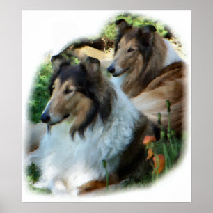 Rough Collie Gift of Art Poster