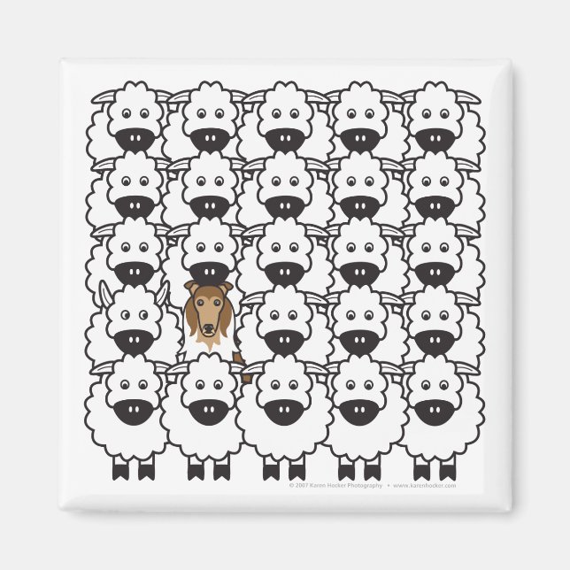 Rough Collie in the Sheep Magnet (Front)