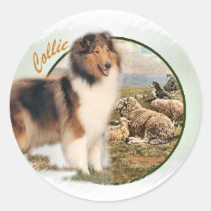 Rough Collie Keeper of the Sheep Classic Round Sticker