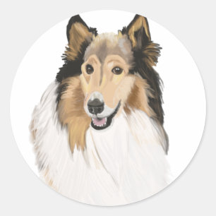Rough Collie, Long Haired Collie Portrait Classic Round Sticker