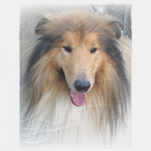 Rough Collie portrait Fleece Blanket