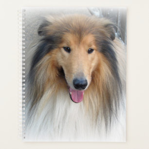 Rough Collie Portrait Planner