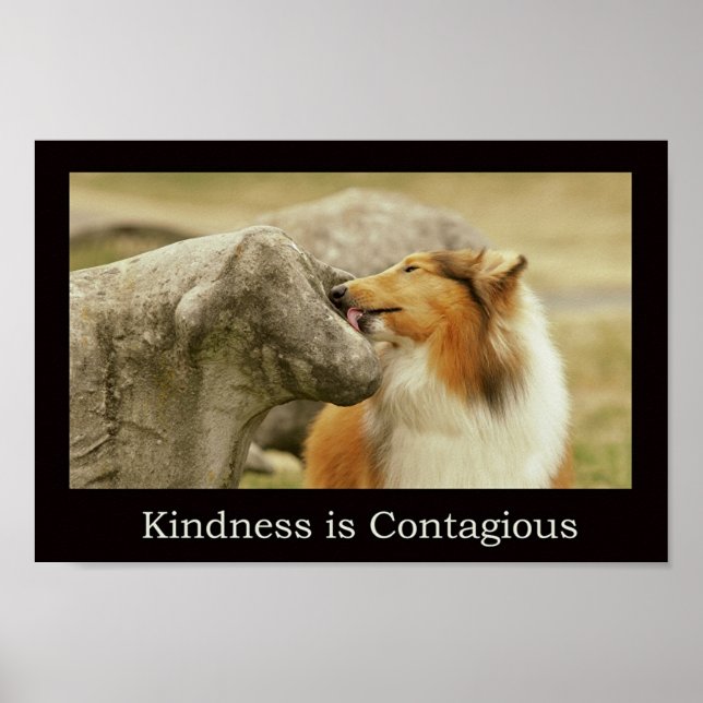 Rough Collie Poster " Kindness is Contagious" (Front)