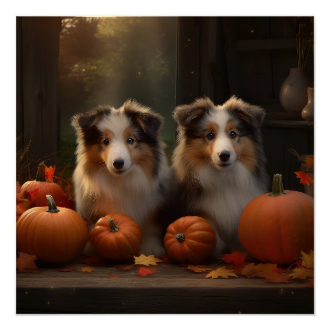 Rough Collie Puppy Autumn Delight Pumpkin  Poster (Front)