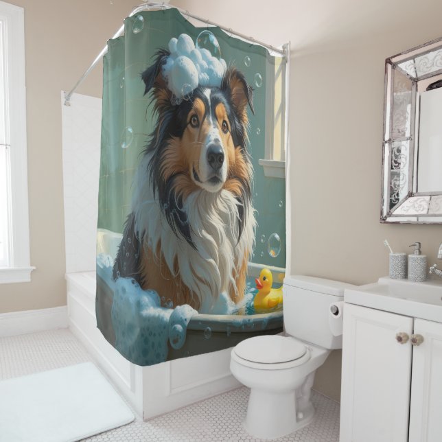 Rough Collie Sloppy Sleepy Cute Funny (In Situ)