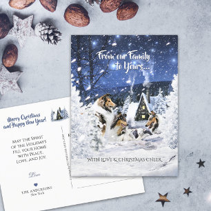 Rough Collies & Lamb in Christmas Night - Holiday  Postcard