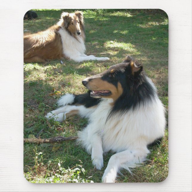 Rough Collies Mouse Pad (Front)