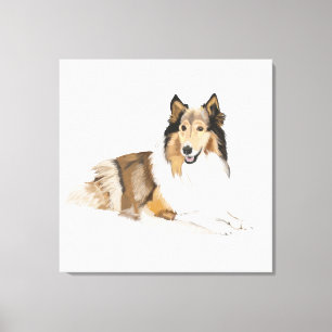Rough, Long Haired Collie Canvas Print
