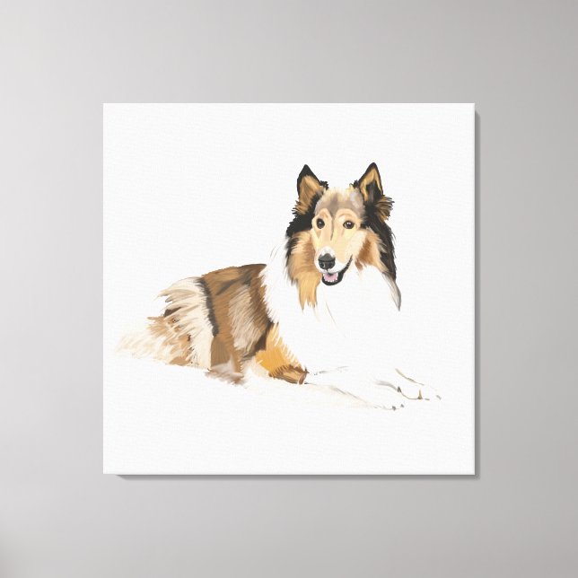 Rough, Long Haired Collie Canvas Print (Front)
