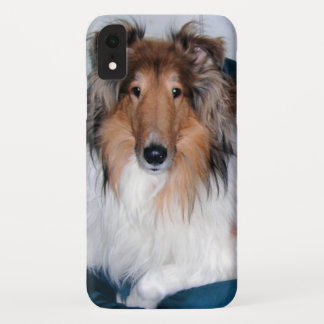 Rough Sable Collie iPhone XR Case