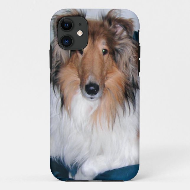 Rough Sable Collie iPhone 5 Coque (Dos)