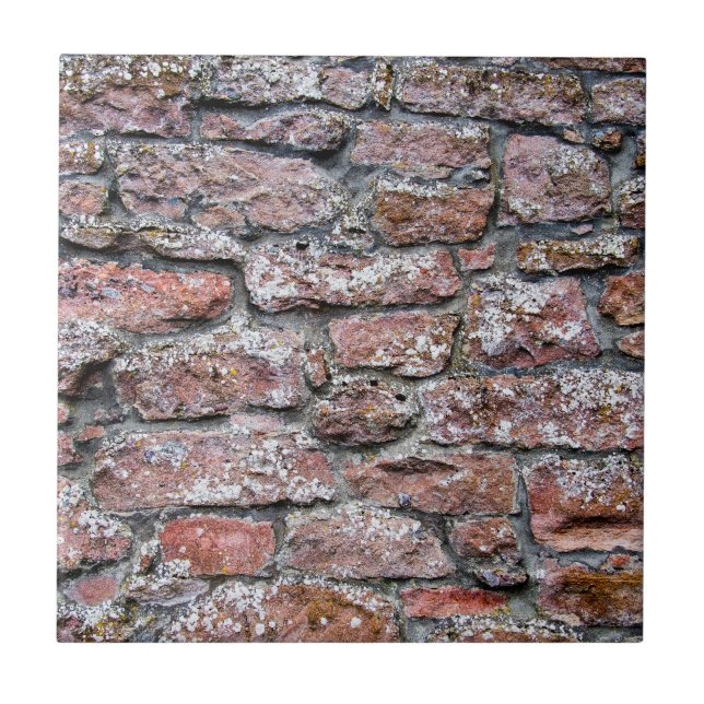Rough Stone Wall Tile (Front)