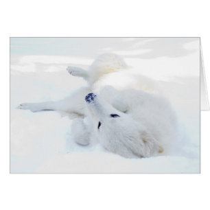 Roulement dans la neige