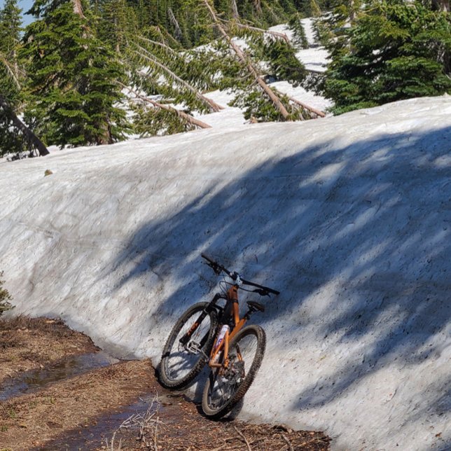 Round Button, Huge, 4 Inch Button (Creator Uploaded)