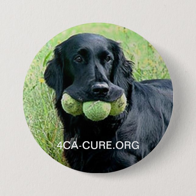 Round Casey Pin (Front)