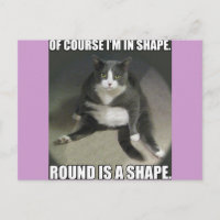 Round is a Shape