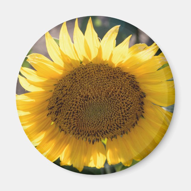 Round Magnet (Front)