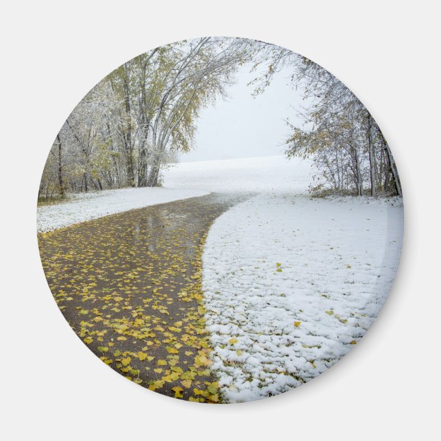 Round Magnet (Front)