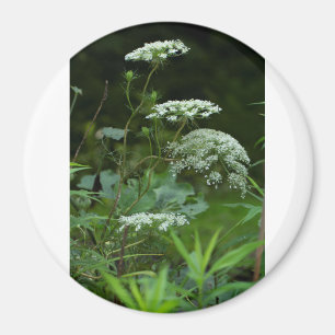 round magnet template