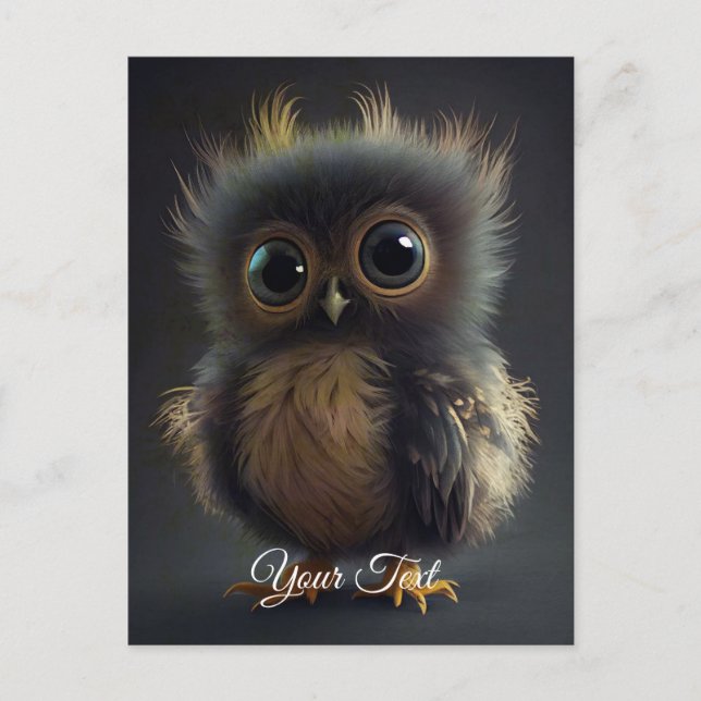 Round Owlet.  Postcard (Front)
