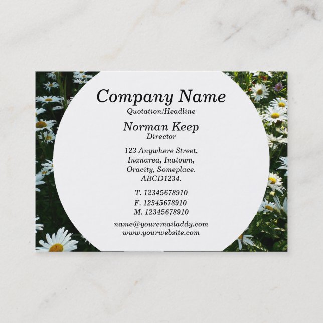 Round Panel - Daisies Business Card (Front)