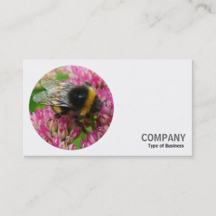 Round Photo - Bumble Bee Business Card