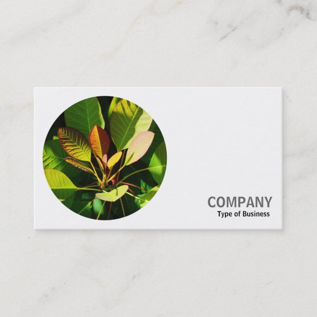 Round Photo - Colourful Sunlit Leaves Business Card (Front)
