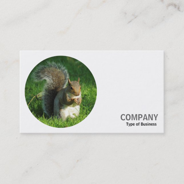 Round Photo - Grey Squirrel 02 Business Card (Front)