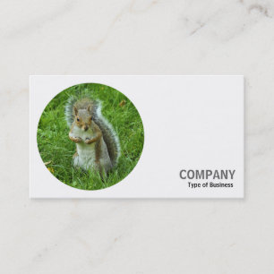 Round Photo - Grey Squirrel Business Card