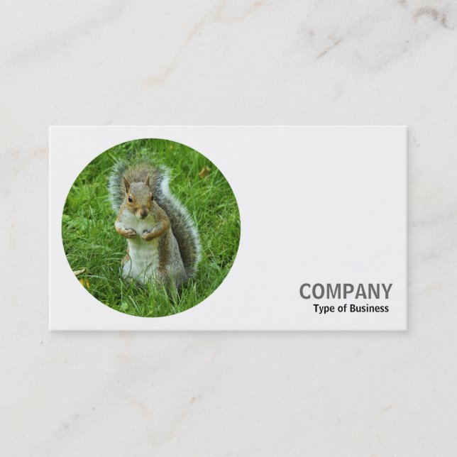 Round Photo - Grey Squirrel Business Card (Front)