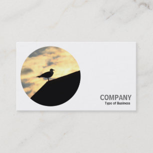 Round Photo - Gull on a Roof Business Card